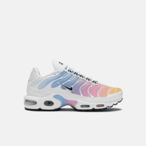 Air Max Plus TN Summer Gradient